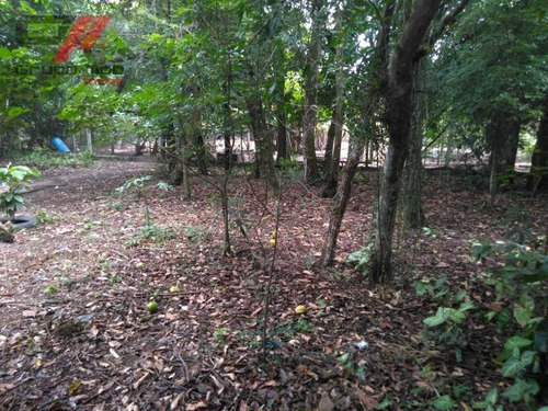 Imagem 14 de 14 de Chácara Com 3 Dormitórios À Venda, 5000 M² Por R$ 530.000 - Pinheirinho - Taubaté/sp - Ch0014