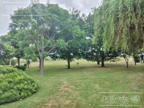 Imagen 16 de 22 de Campo Mixto En Venta En Chivilcoy 60 % Agrícola - Armado