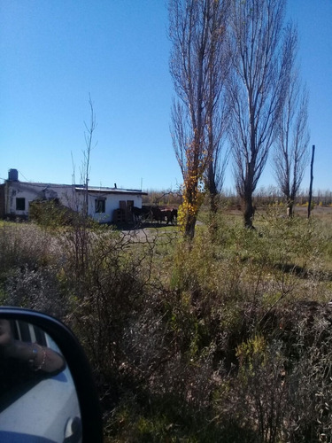 Imagen 4 de 10 de Venta O Permuta 25 Hectáres 25 De Mayo La Pampa