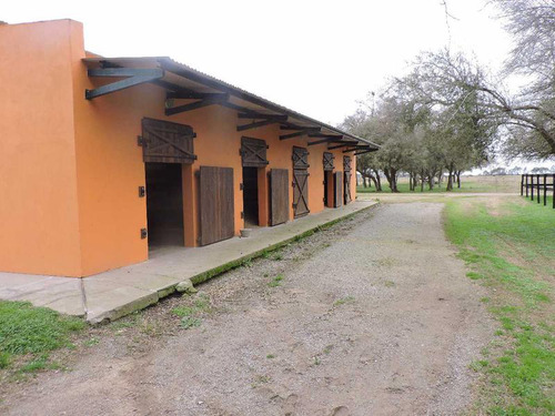 Campo En Venta 50 Has En Punta Indio - Excelente Casco - Ideal Haras