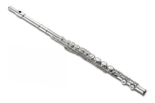 Flauta Traversa Lincoln Winds Lwfl-1201s Llaves Cerradas