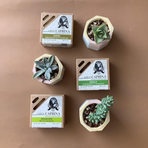 Jabón Caprina Con Manzanilla Suaviza Y Nutre P/sensible 90g