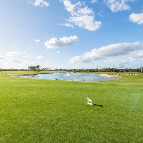 Imagen 22 de 22 de Venta Terreno Campo Golf Provincia Zona Norte Merida
