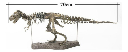 Modelo De Esqueleto De Dinosaurio: Ensamblaje Fósil De
