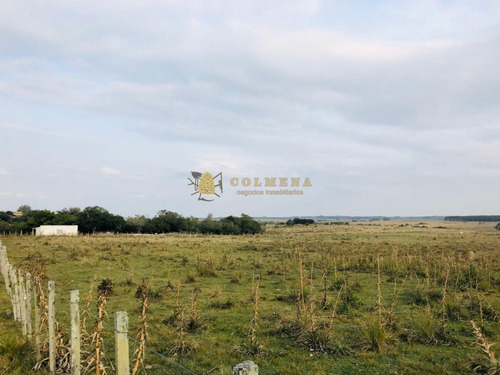 Campo 7 Has 2091 M2 Cerca De Bodega Garzon Y Pueblo Garzon - Consulte !!!!!- Ref: 3028