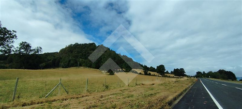 Sitio - 5.000 M2 Cada Uno - Cascadas - Puerto Octay