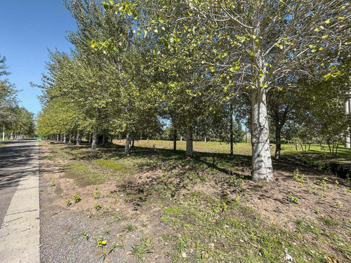 Imagen 3 de 21 de Lote Con Amenities De 440 M2 En Pinares Del Sur