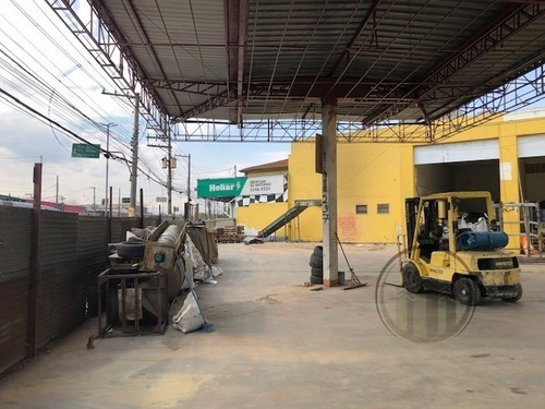 Imagem 3 de 16 de Terreno Para Aluguel, 1000.0 M2, Socorro - São Paulo - 6391