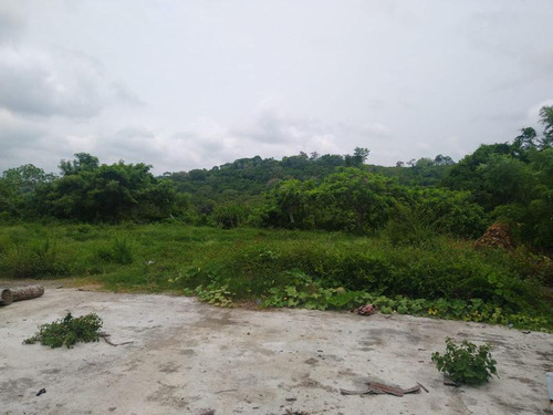 Venta Rancho 109 Has Autopista A Tampico En Tamiahua Veracruz