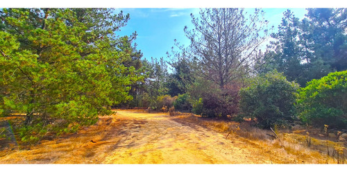 Espectacular Terreno De 10.000m² Hacienda Reñaca