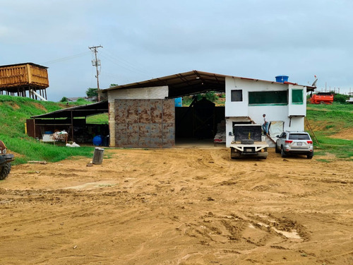 Eglée Suárez Vende Finca En El Mene, Falcón.plf-008