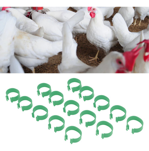 100 Unidades De Patas De Gallina Para Aves De Corral, Tipo A