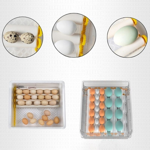 Imagen 2 de 10 de Incubadora De 36 Huevos Automatica 220v Multiproposito