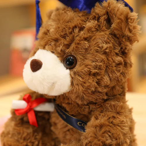 Osito De Graduación - Birrete Y Diploma, Felicidades