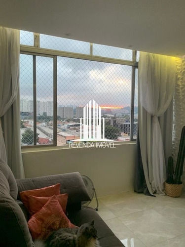 Imagem 10 de 15 de Apartamento De 4 Domitórios Sendo 1 Suíte Com 1 Vaga De Garagem No Bairro De Santo Amaro - Bc4951