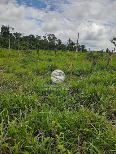 Imagem 4 de 10 de Venda Sítio Buritis Em Rondônia - Si337