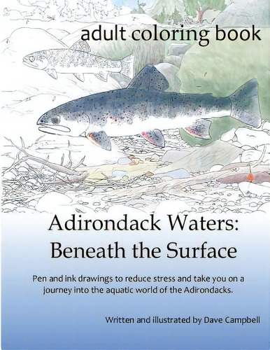 Adirondack Waters: Beneath The Surface, De Campbell, Dave., Vol. 1. Editorial Lightning Source Inc, Tapa Blanda En Inglés