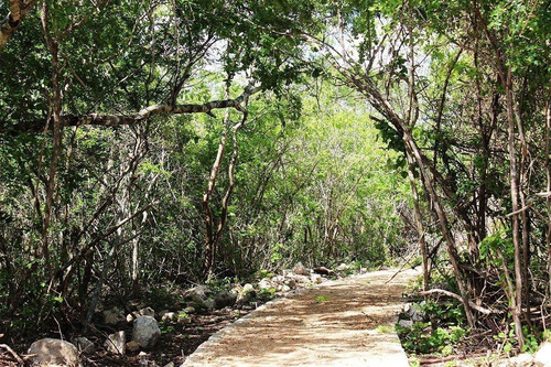 Imagen 5 de 12 de Terrenos En Venta En Privada Phula, Mérida, Yucatán