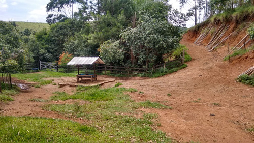 Imagem 13 de 14 de Fazenda Pecuaria Com Cachoeira Fundos Represa Igarata- 4180