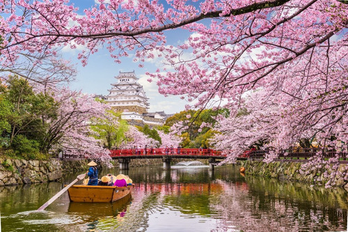 Papel Parede Adesivo Cidade Japão Sakura Cerejeira 1,8x1,40m