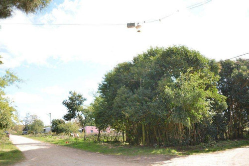 Imagen 7 de 10 de Chacra , En Madariaga !