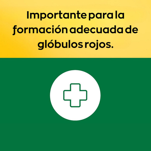 Nature Made Vitamina B6 100 Mg Con 100 Tabletas