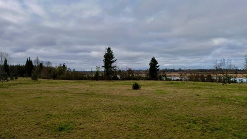 Parcela De 5.000 M2 Vista Río Cruces, San José Mariquina