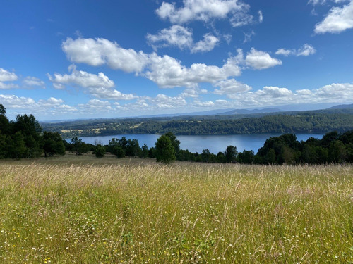 Z O N A S U R. C L Parcelas Orilla Y Acceso Lago Huilipilun
