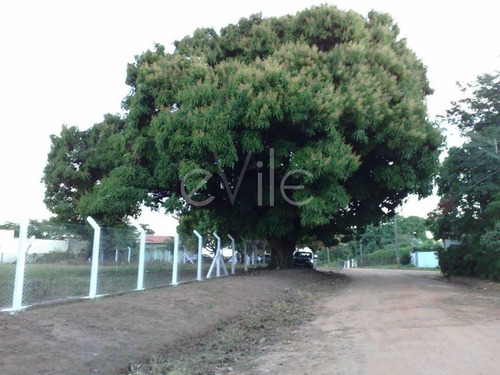 Chácara À Venda Em Chácaras Sol Nascente - Ch001185