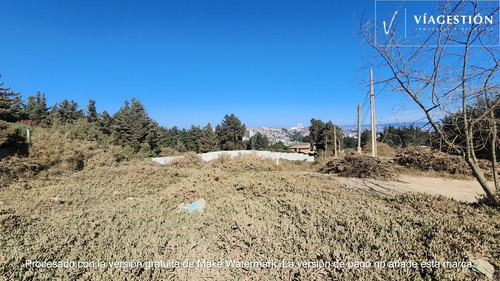 Terreno En Reñaca Con Excelente Ubicación Y Conectividad
