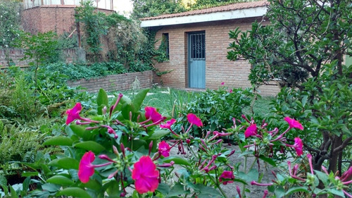 Imagen 10 de 14 de Alquilo Casa Grande A Metros Del Reloj Cucú