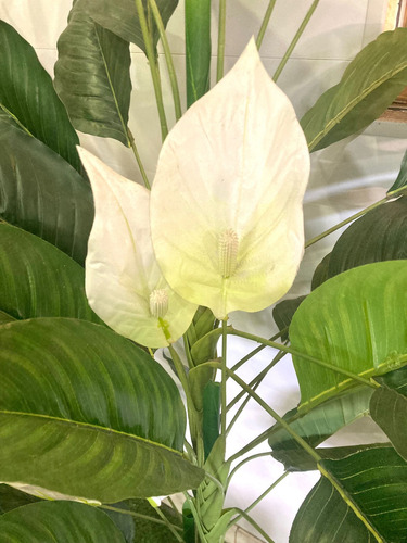 Plantas Artificiales 155cm Lirio De La Paz
