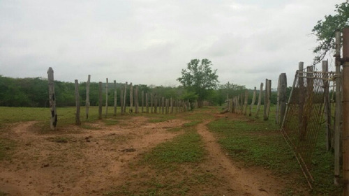 Imagen 10 de 14 de Finca En Venta En San Jose De Guaribe