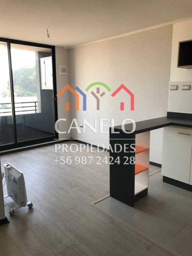 Impecable Departamento 1 Dormitorio Y 1 Baño