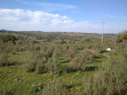 Campo Pintoresco, Con Altura, Cañada