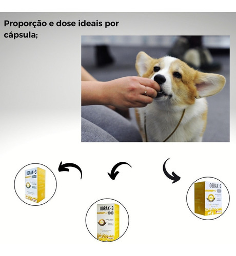 Suplemento Cães Gatos Avert Ograx-3 1000 30 Cápsulas