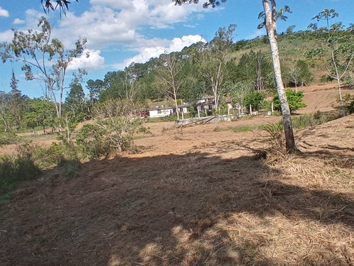 Imagem 4 de 23 de 03t- Venha Investir No Seu Sonho! Terreno Acessivel