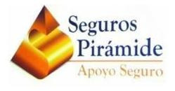 Imagen 9 de 10 de Polizas De Seguro