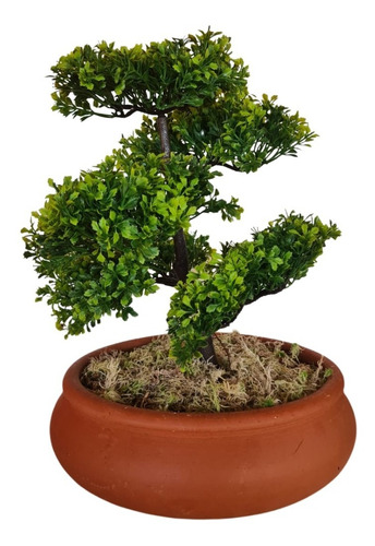 Vaso Bonsai N.2