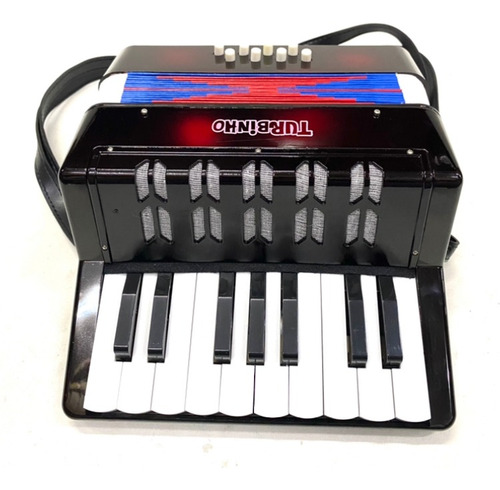 Acordeon Infantil Turbinho Sanfona Gaita Novo Original