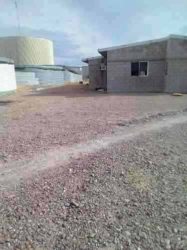 Imagen 12 de 14 de Invernadero En Saucillo, Chihuahua