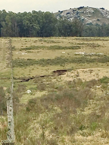 Venta De Chacra 5 Has En Ruta 9, Cerca De Pan De Azucar, Maldonado.- Ref: 19213