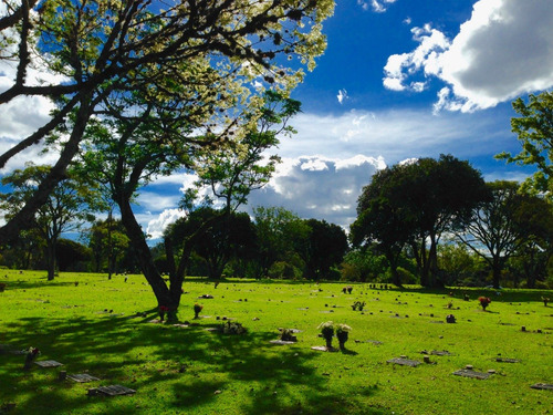 Imagem 1 de 14 de Jazigo - Cemitério Parque Iguaçú