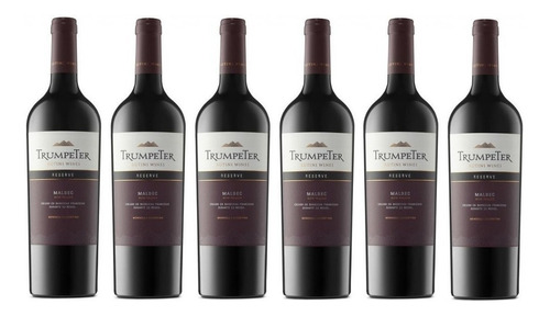 Caja X6 Vino Trumpeter Reserve Malbec 750 Ml