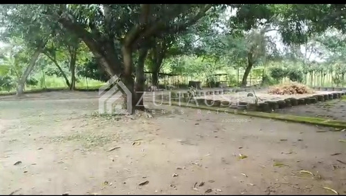 Imagen 4 de 8 de Finca De 13.5 Has En Barinas En Venta