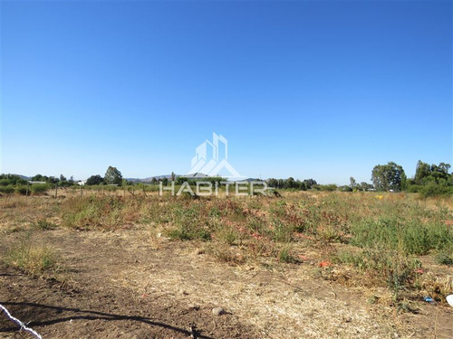 Imagen 18 de 24 de Agrícola En Venta En Maule
