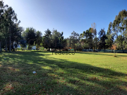 Imagen 9 de 14 de Club De Campos Miralagos Ii