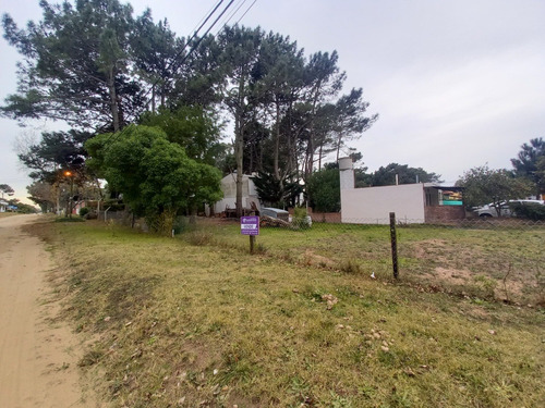 Imagen 6 de 6 de Lote En Venta (219)