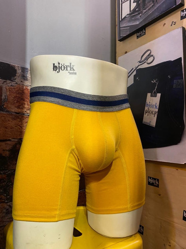 Boxer Björkino