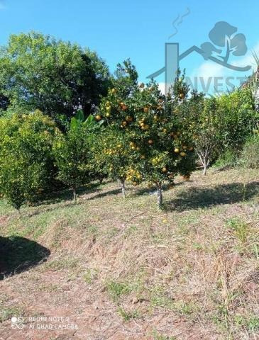 Imagem 8 de 15 de Cód - 5792 - Chácara Em Piedade Com Lago - 5792